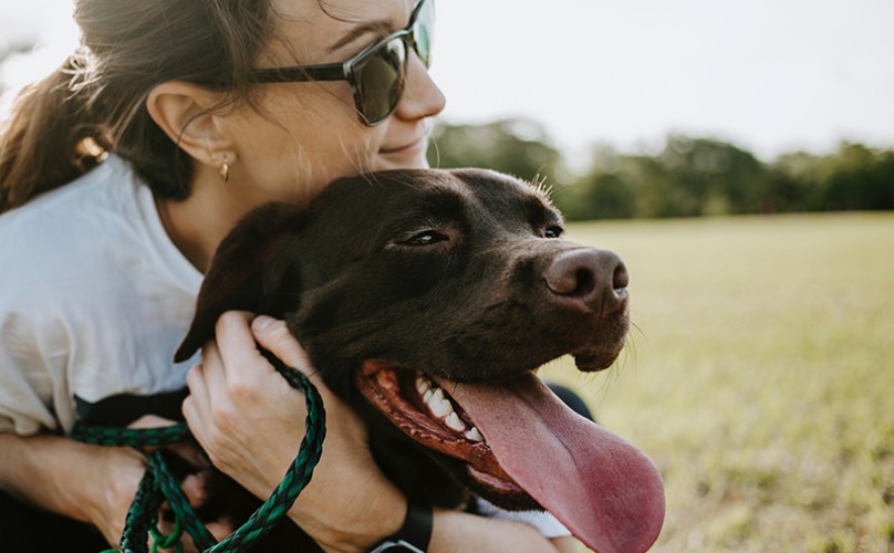 Woman Holding Brown Lab