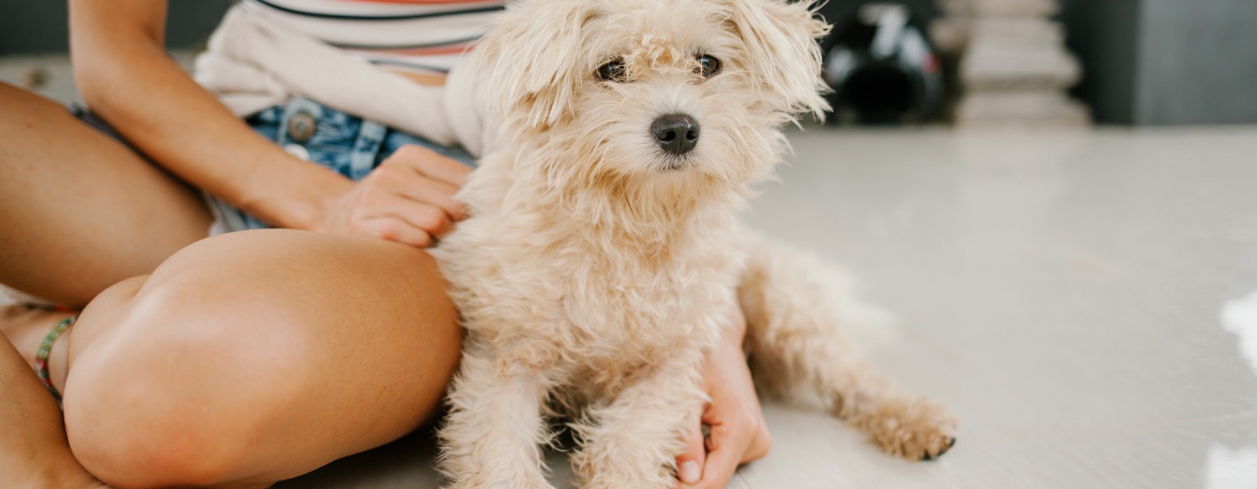 Girl Sitting Next To White Dog