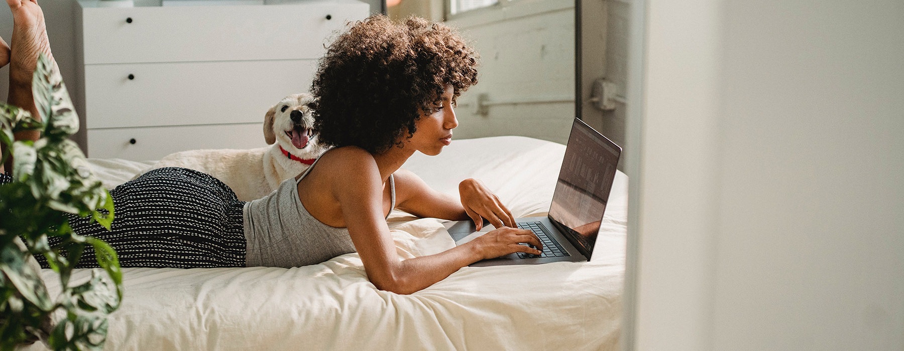 Woman Laying On Bed With Laptop